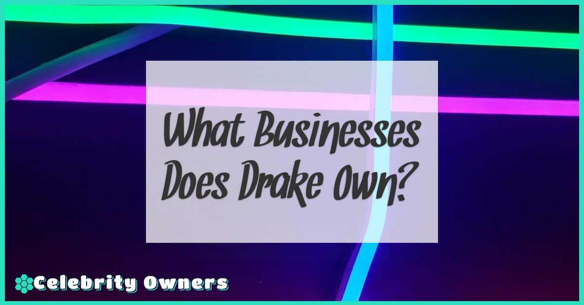 What Businesses Does Drake Own?