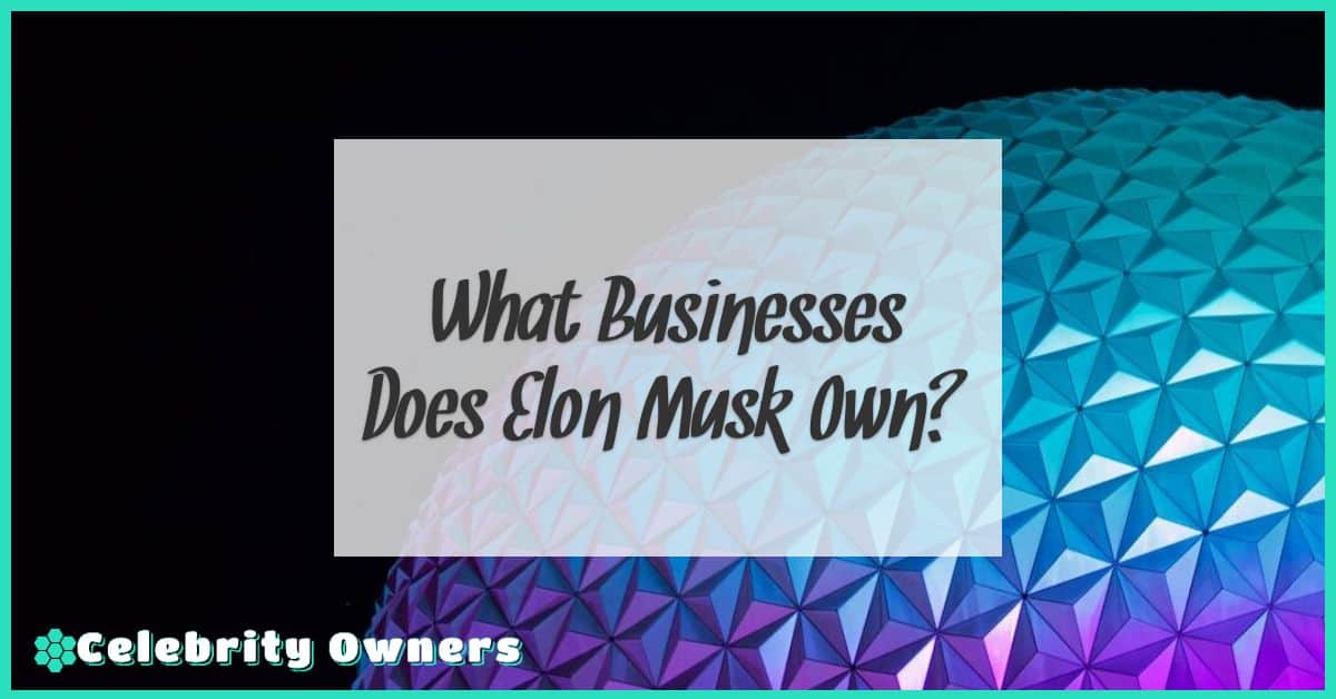 What Businesses Does Elon Musk Own?