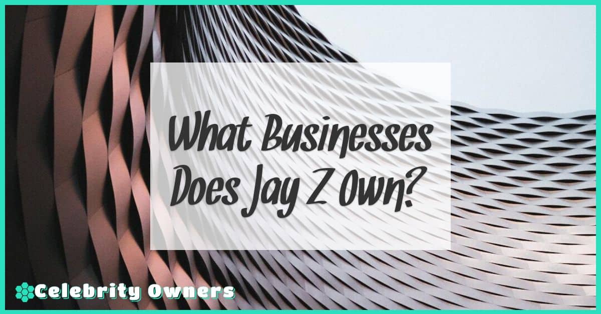 What Businesses Does Jay Z Own?