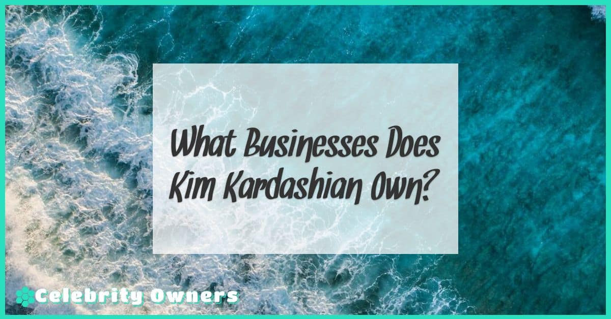 What Businesses Does Kim Kardashian Own?