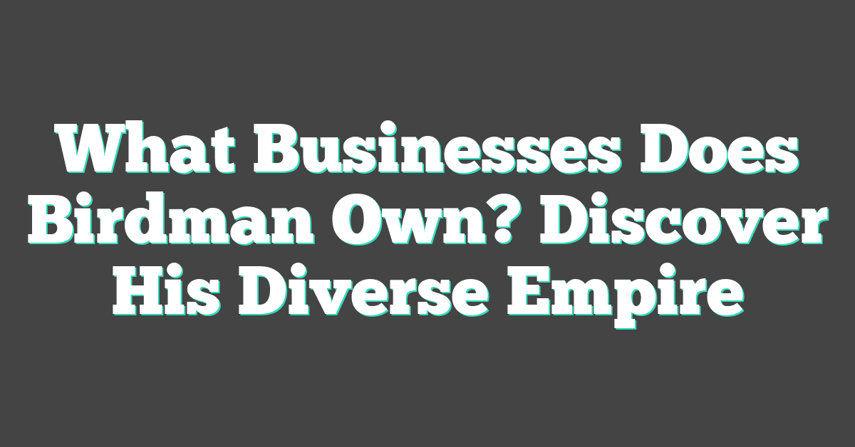 What Businesses Does Birdman Own? Discover His Diverse Empire