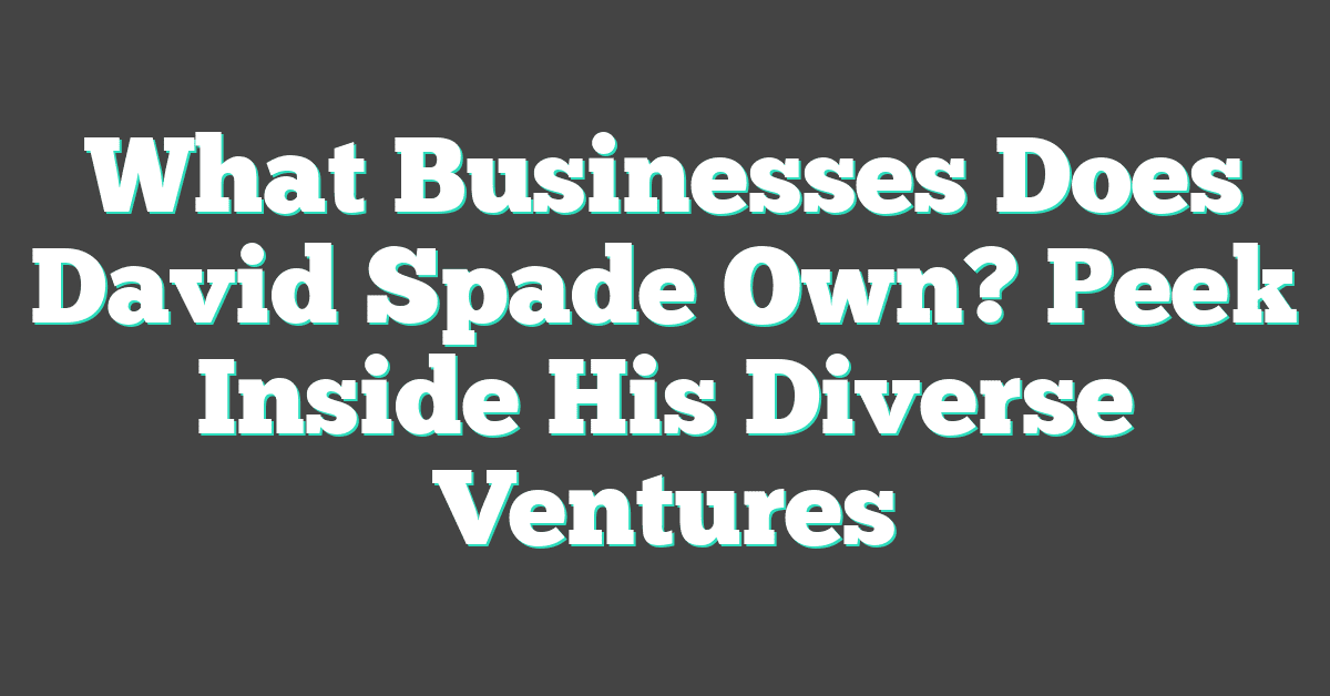 What Businesses Does David Spade Own? Peek Inside His Diverse Ventures