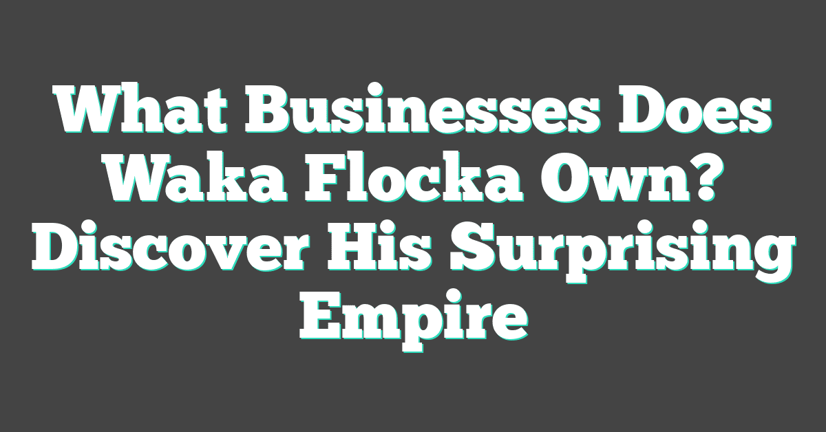 What Businesses Does Waka Flocka Own? Discover His Surprising Empire